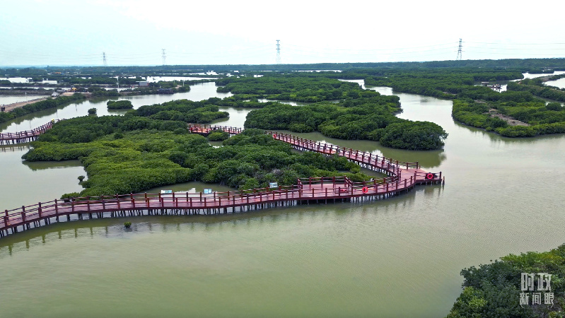 时政新闻眼丨习近平赴湛江考察,承载哪些战略考量? 时政新闻眼丨习近平赴湛江考察,承载哪些战略考量?